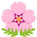 🌸 cherry_blossom + 🌸 cherry_blossom emoji mashup
